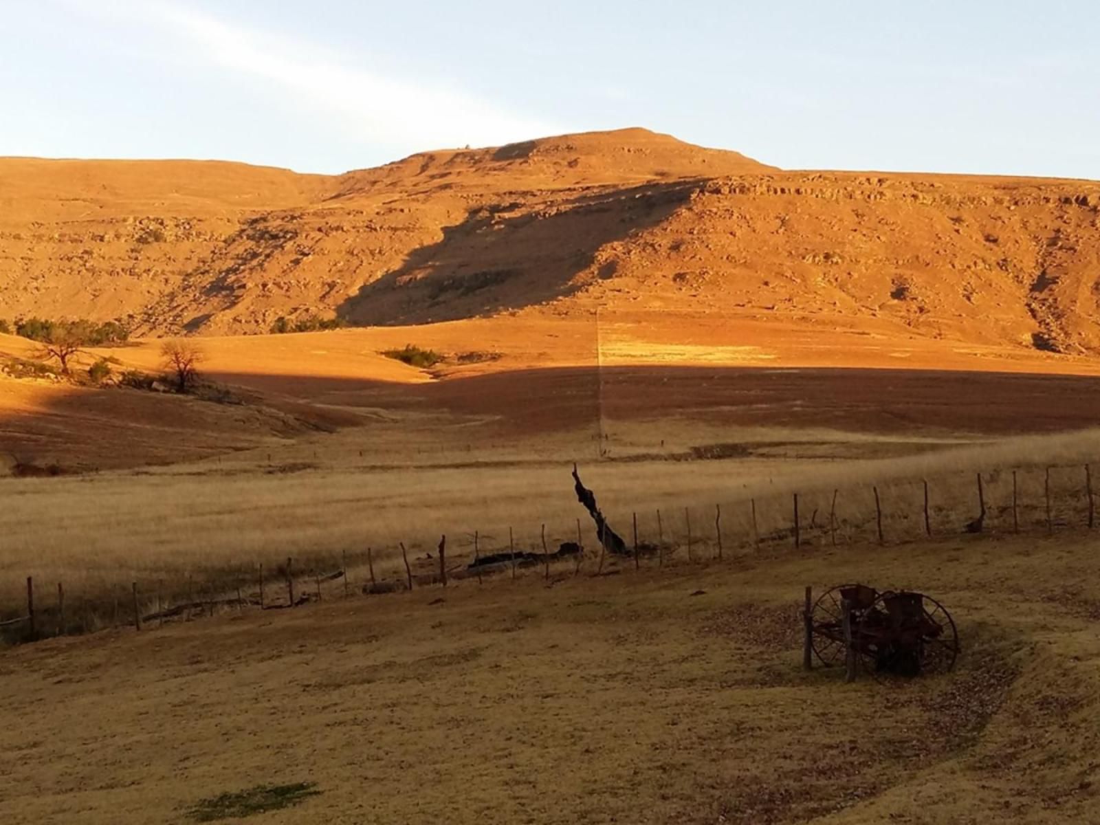 Fairbairn Guest Farm Maclear Eastern Cape South Africa Colorful, Desert, Nature, Sand