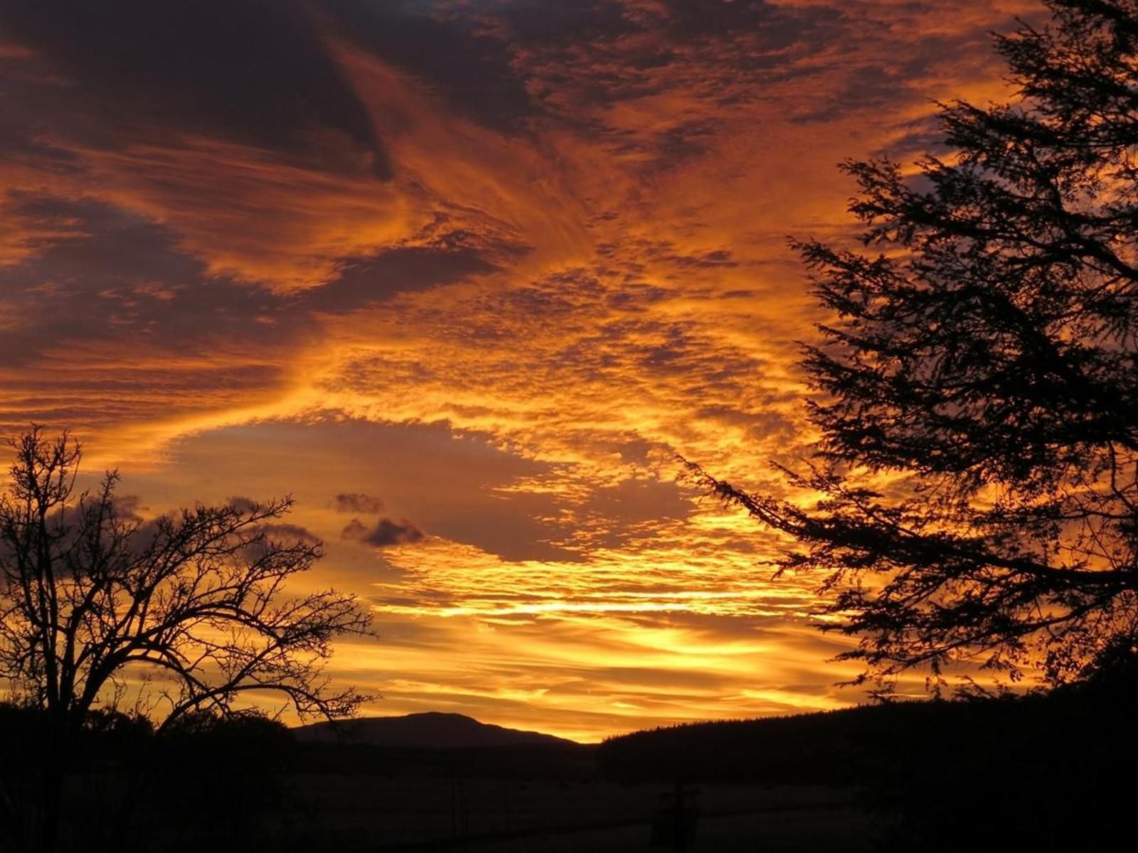 Fairbairn Guest Farm Maclear Eastern Cape South Africa Sky, Nature, Sunset