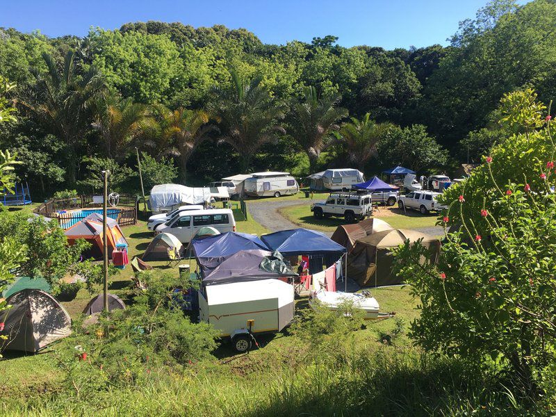 Fairhills Caravan Park Ramsgate Beach Margate Kwazulu Natal South Africa Beach, Nature, Sand, Palm Tree, Plant, Wood, Tent, Architecture