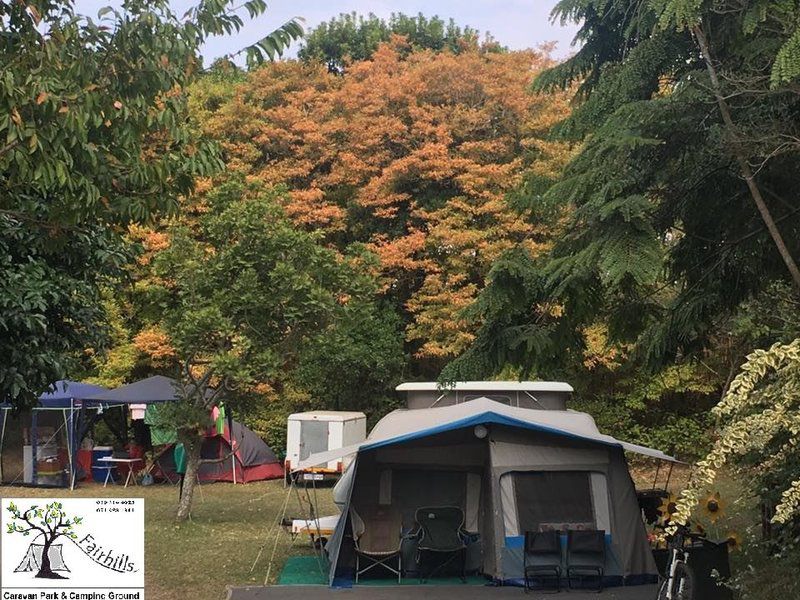 Fairhills Caravan Park Ramsgate Beach Margate Kwazulu Natal South Africa Tent, Architecture, Tree, Plant, Nature, Wood, Autumn