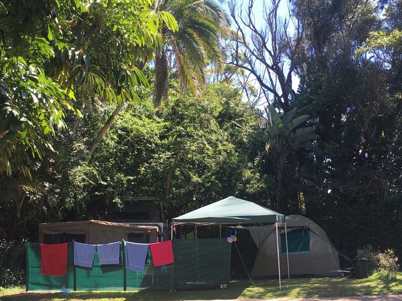 Fairhills Caravan Park Ramsgate Beach Margate Kwazulu Natal South Africa Palm Tree, Plant, Nature, Wood, Tent, Architecture