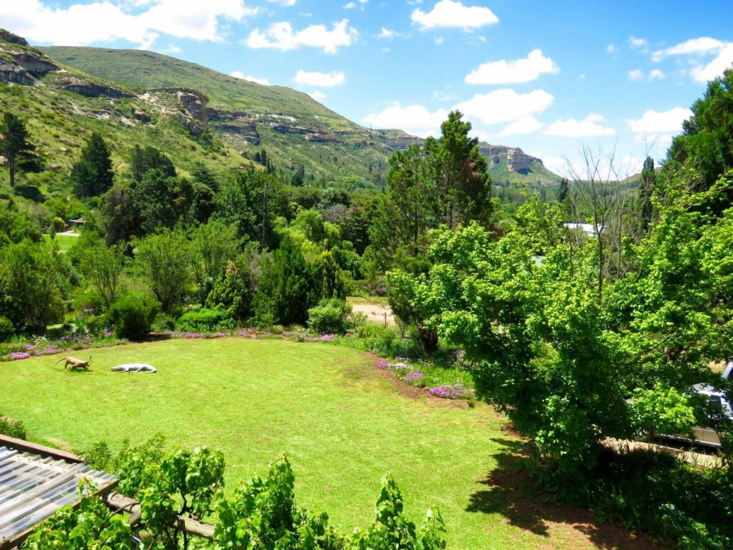 Fairview Cottages, Mountain, Nature, Garden, Plant, Highland