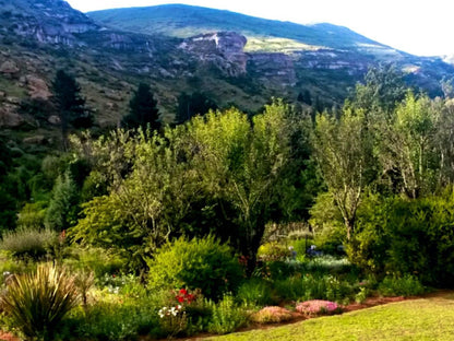 Fairview Cottages, Mountain, Nature, Plant, Garden, Highland