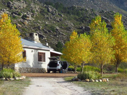 Fairfield Cottages Prince Alfred Hamlet Western Cape South Africa Autumn, Nature