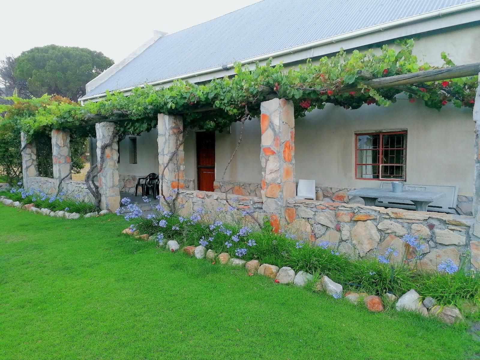 Fairfield Cottages Prince Alfred Hamlet Western Cape South Africa Building, Architecture, House