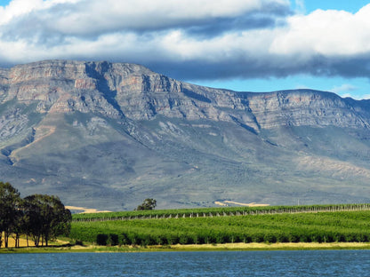 Fairfield Cottages Prince Alfred Hamlet Western Cape South Africa Nature