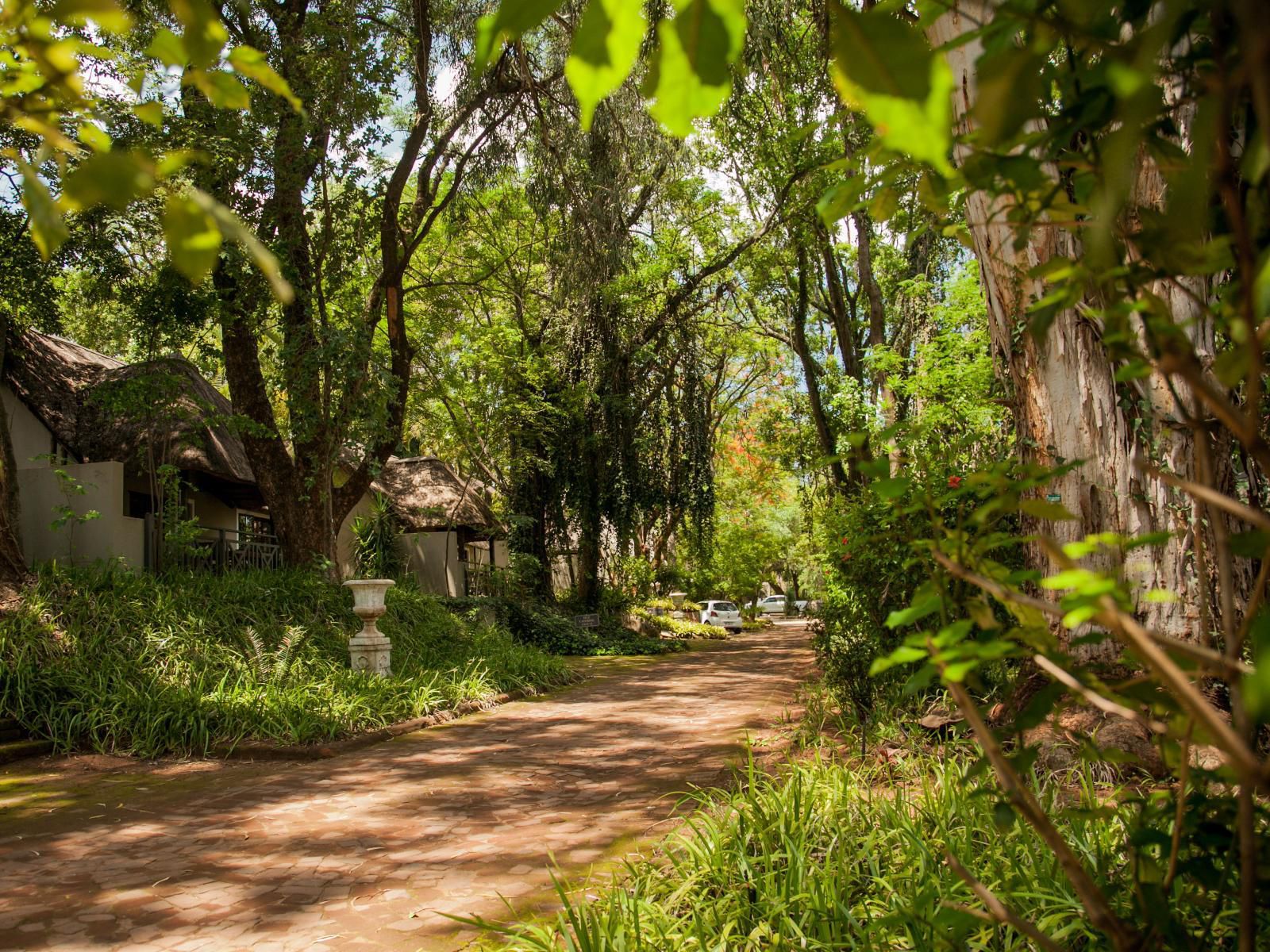 Fairview Hotels Spa And Golf Resort Tzaneen Limpopo Province South Africa Colorful, Forest, Nature, Plant, Tree, Wood