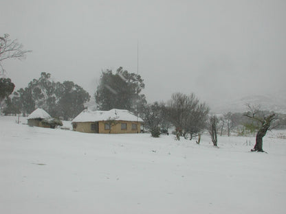 Fairview Estates Fouriesburg Free State South Africa Colorless, Nature, Snow, Winter