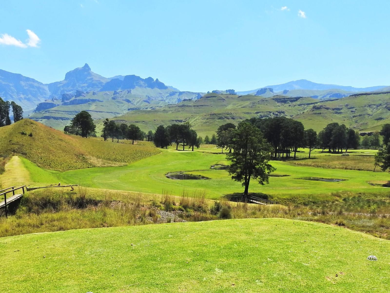 Drakensberg Gardens Fairways Drakensberg Gardens Kwazulu Natal South Africa Complementary Colors, Nature