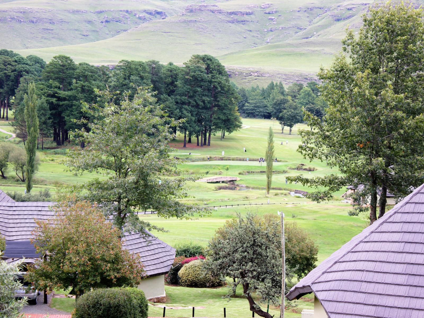 Drakensberg Gardens Fairways Drakensberg Gardens Kwazulu Natal South Africa Ball Game, Sport, Golfing, Highland, Nature