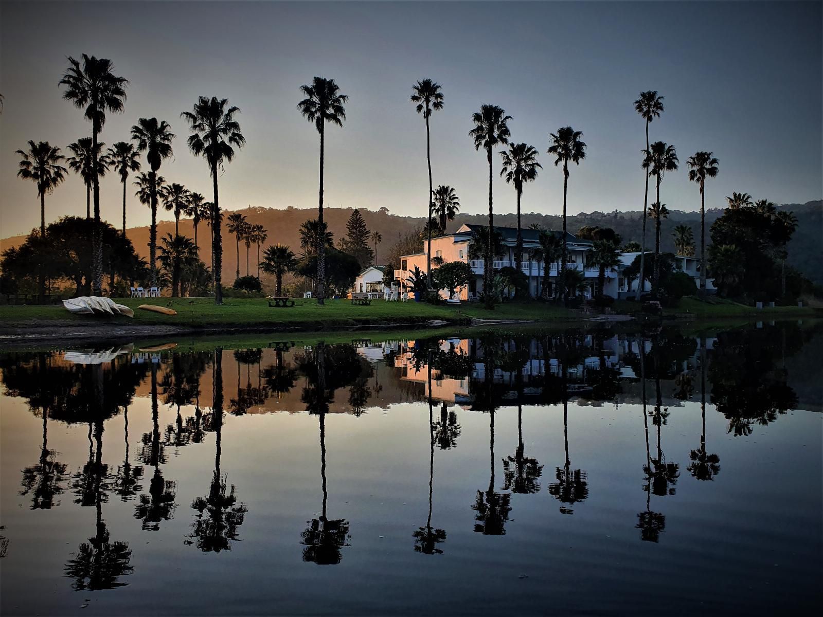 Fairy Knowe Hotel Wilderness Western Cape South Africa Beach, Nature, Sand, Palm Tree, Plant, Wood, Framing, Golfing, Ball Game, Sport