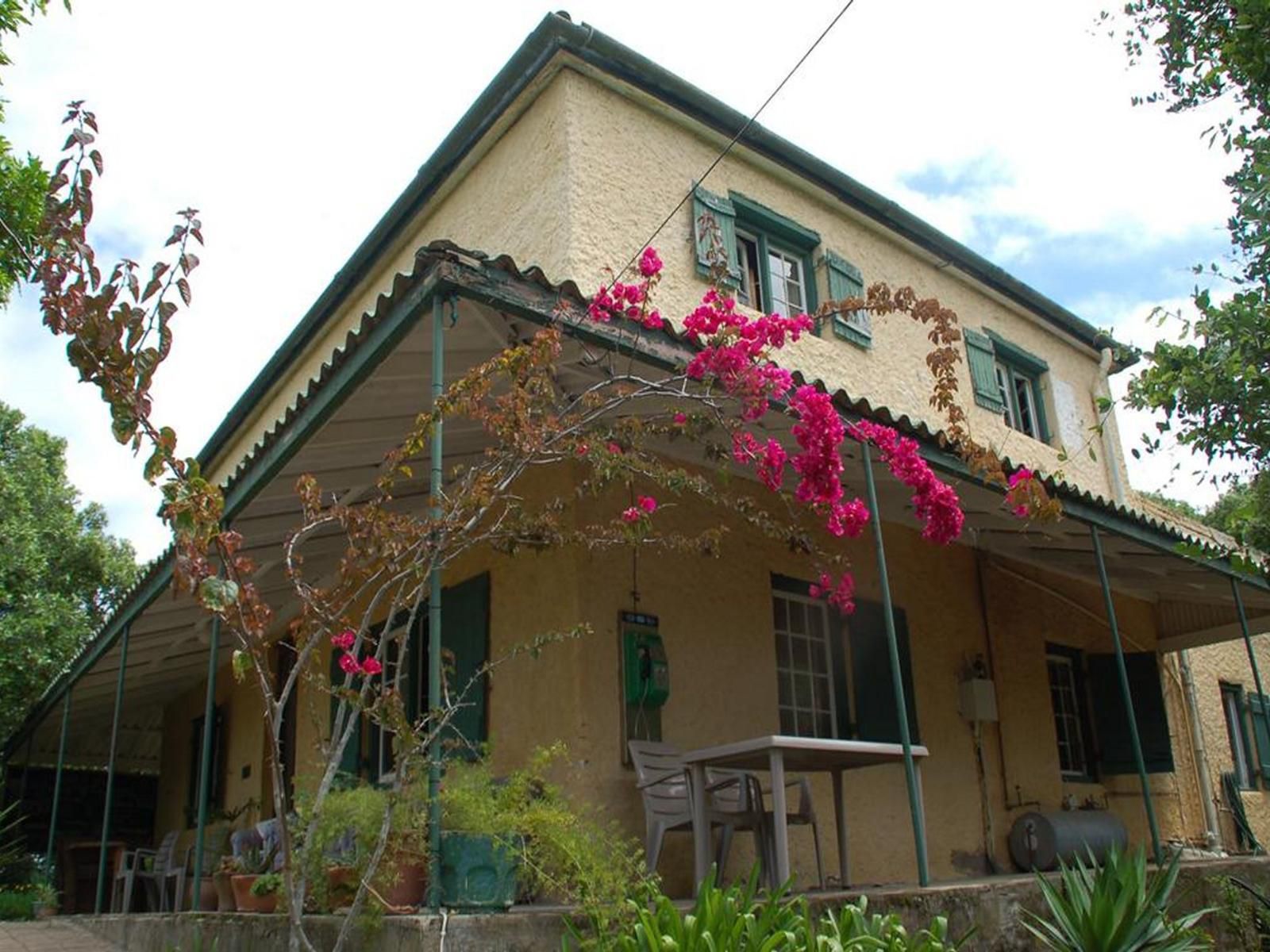 Fairy Knowe Backpackers Wilderness Western Cape South Africa Building, Architecture, House, Plant, Nature, Window