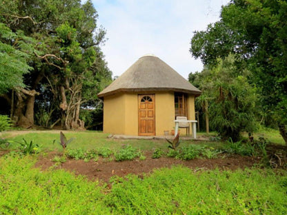 Fairy Knowe Backpackers Wilderness Western Cape South Africa Building, Architecture