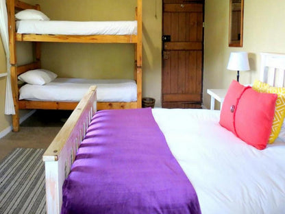 Fairy Knowe Backpackers Wilderness Western Cape South Africa Complementary Colors, Bedroom