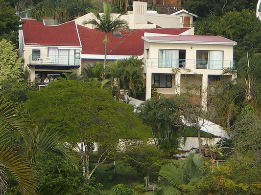 Falconcrest Guest House Doon Heights Kingsburgh Kwazulu Natal South Africa Building, Architecture, House, Palm Tree, Plant, Nature, Wood