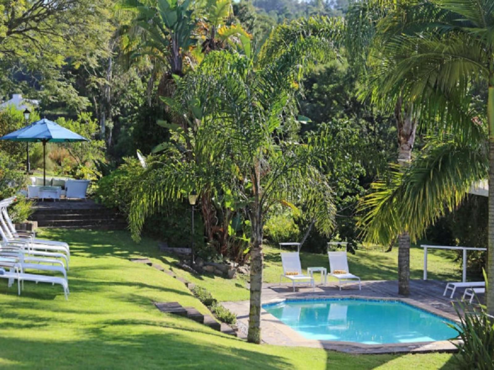 Falcons View Manor Knysna Central Knysna Western Cape South Africa Palm Tree, Plant, Nature, Wood, Garden, Swimming Pool