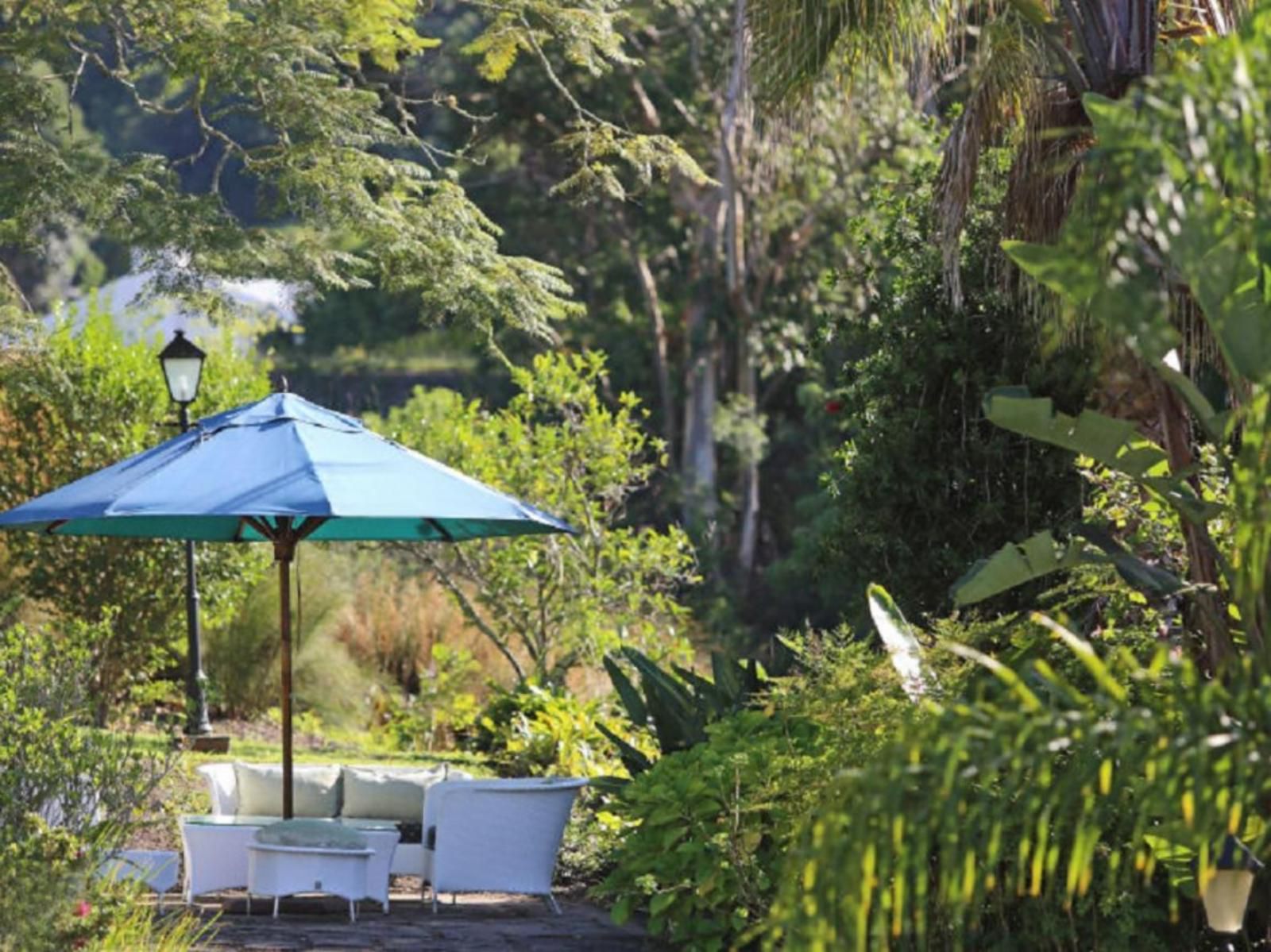 Falcons View Manor Knysna Central Knysna Western Cape South Africa Palm Tree, Plant, Nature, Wood, Garden