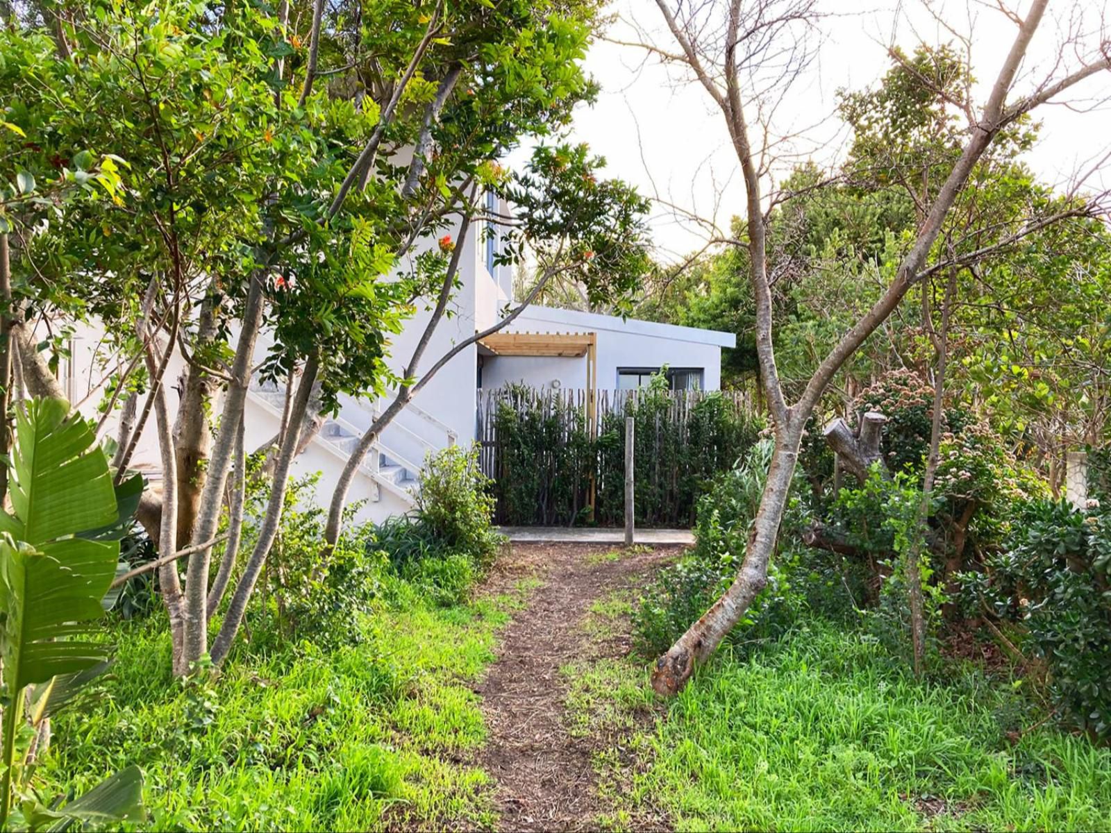 Farm 215 Nature Retreat And Fynbos Reserve Gansbaai Western Cape South Africa House, Building, Architecture, Palm Tree, Plant, Nature, Wood, Garden