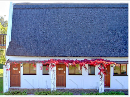 Zoutpan Struishuis Guest Farm Albertinia Western Cape South Africa Building, Architecture, House