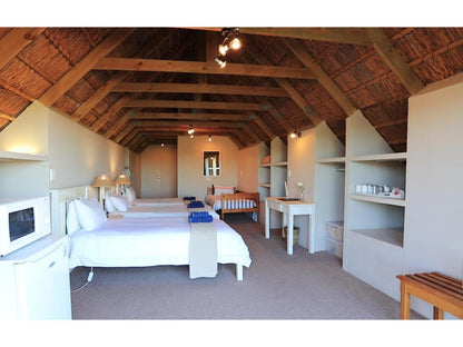 Luxury Loft 1 @ Zoutpan Struishuis Guest Farm