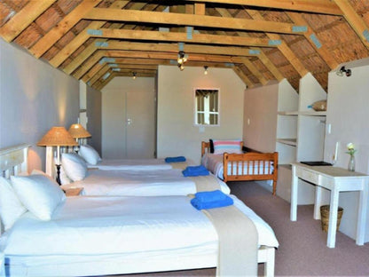 Luxury Loft 1 @ Zoutpan Struishuis Guest Farm