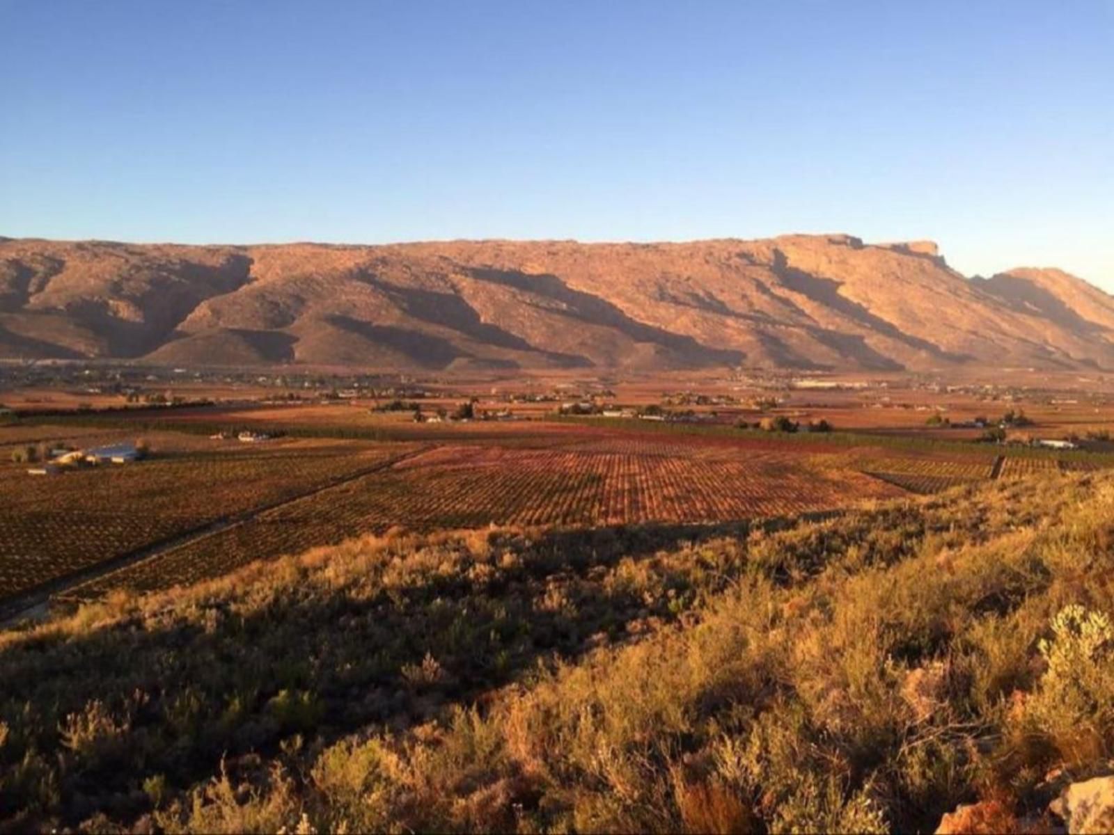 Farm Cottages At Au D Brandy Route De Doorns Western Cape South Africa Complementary Colors, Nature