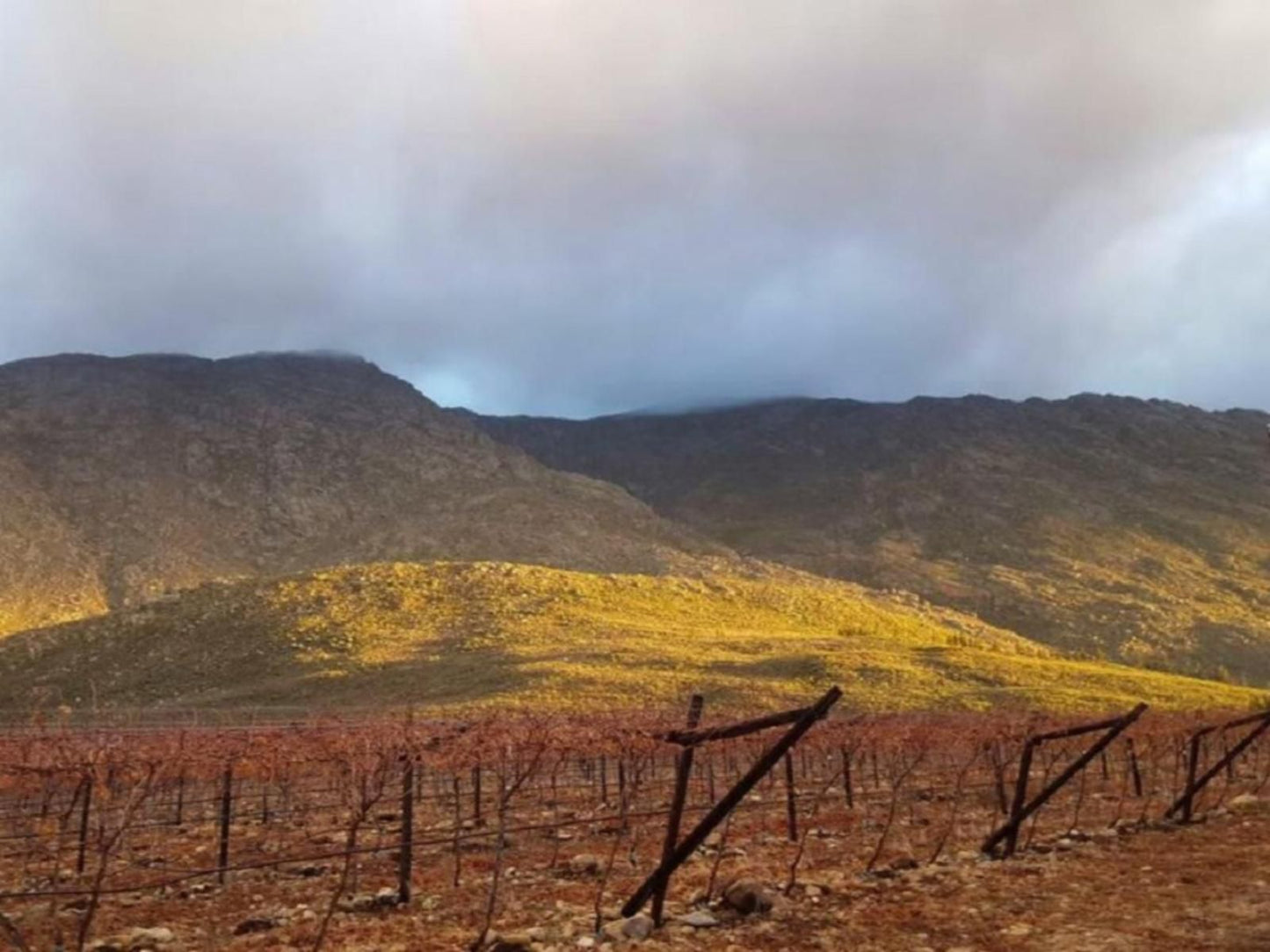 Farm Cottages At Au D Brandy Route De Doorns Western Cape South Africa Nature