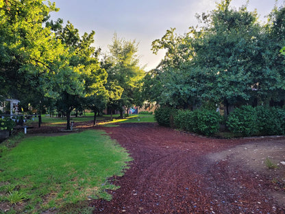 Farm Cottages At Au D Brandy Route De Doorns Western Cape South Africa Plant, Nature, Tree, Wood, Garden