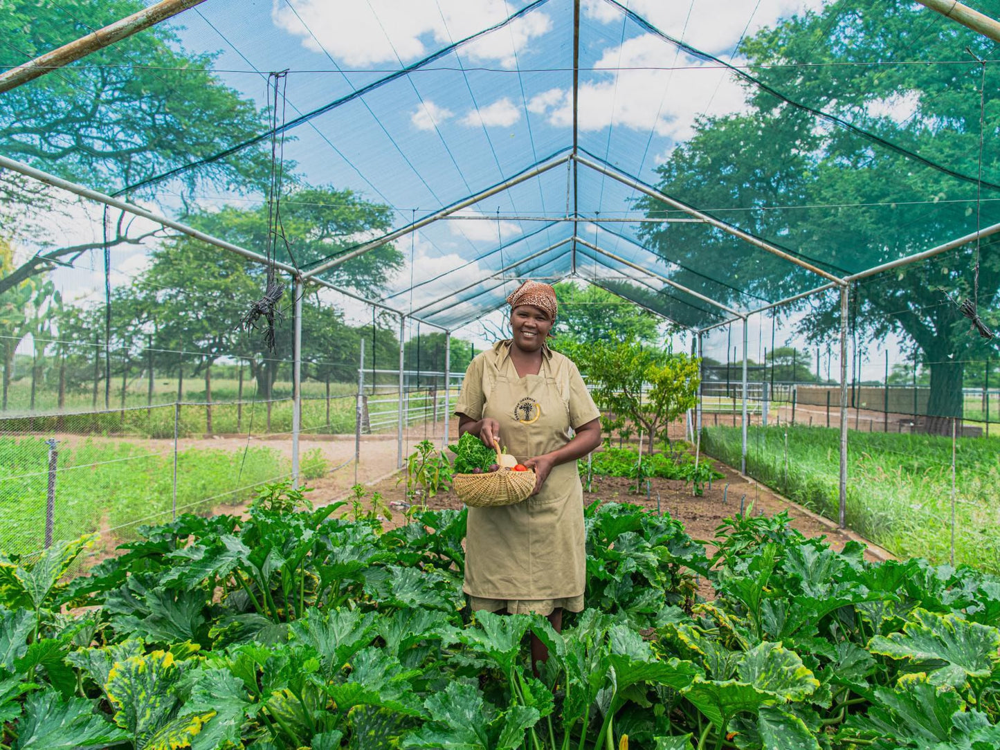 Farmstay Okakeua, Face, Person, One Face, Field, Nature, Agriculture, Vegetable, Food, Frontal Face