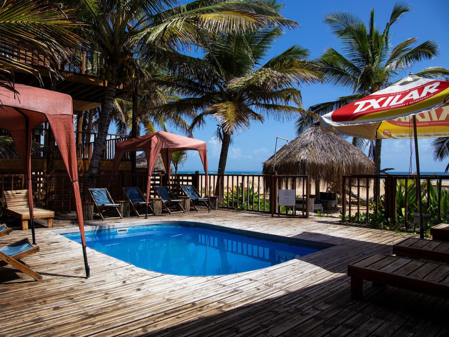 Farol Da Barra, Beach, Nature, Sand, Palm Tree, Plant, Wood, Swimming Pool