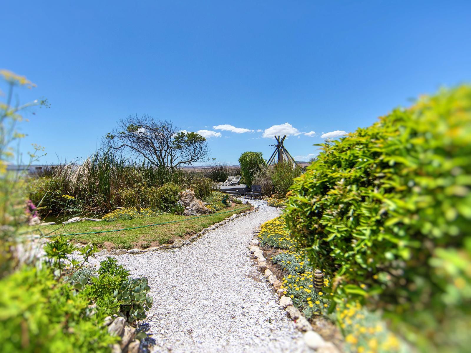 Farr Out Pelgrimsrust Paternoster Western Cape South Africa Complementary Colors, Plant, Nature, Garden