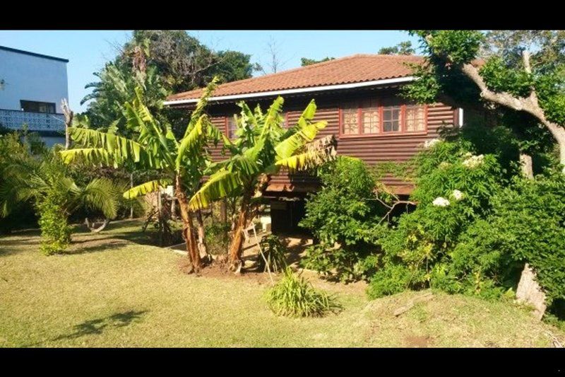 Fat Monkey Lodge Leisure Crest Port Edward Kwazulu Natal South Africa Building, Architecture, House, Palm Tree, Plant, Nature, Wood