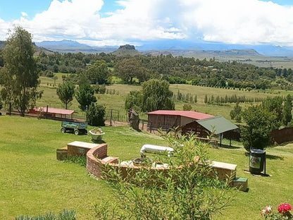 The Fat Mulberry Guest Farm Fouriesburg Free State South Africa Highland, Nature