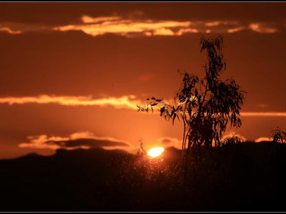 The Fat Mulberry Guest Farm Fouriesburg Free State South Africa Colorful, Sky, Nature, Sunset