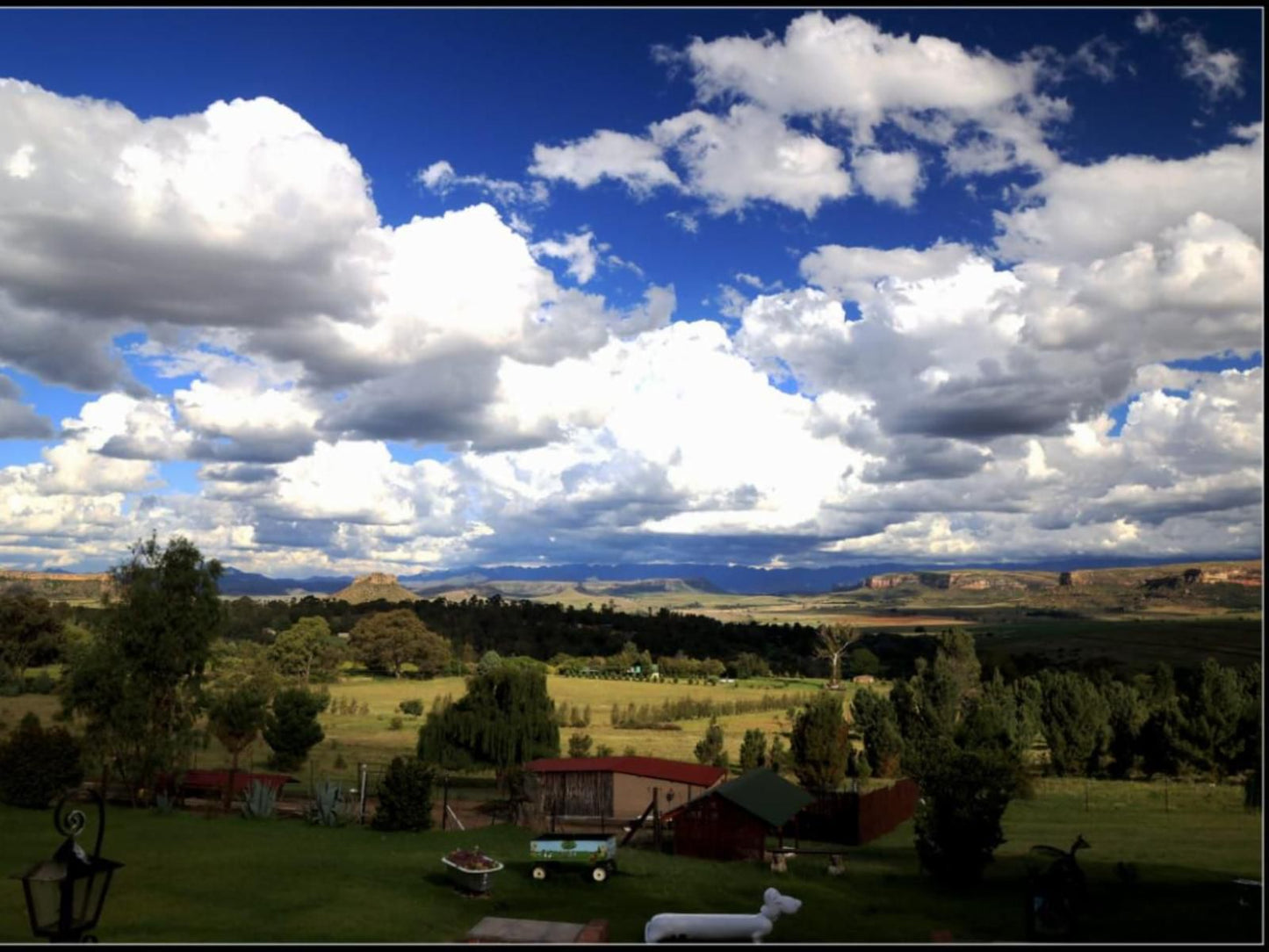 The Fat Mulberry Guest Farm Fouriesburg Free State South Africa Nature