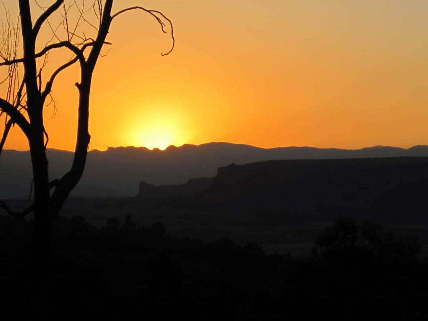 The Fat Mulberry Guest Farm Fouriesburg Free State South Africa Silhouette, Sky, Nature, Sunset