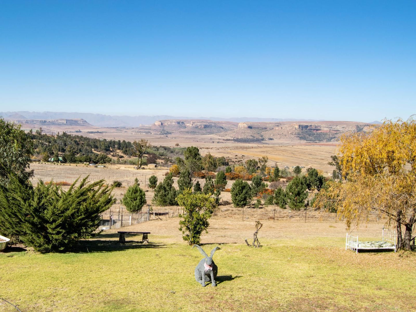 The Fat Mulberry Guest Farm Fouriesburg Free State South Africa Complementary Colors, Colorful, Tree, Plant, Nature, Wood, Lowland