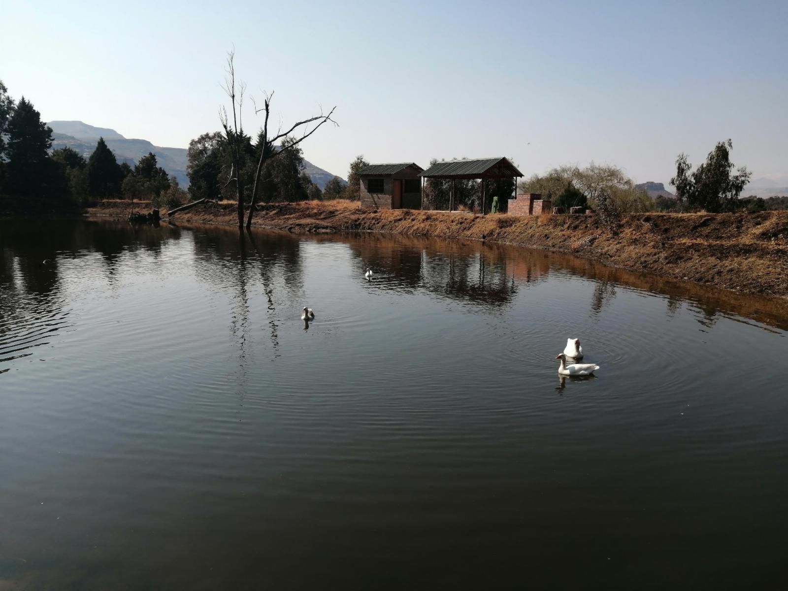 The Fat Mulberry Guest Farm Fouriesburg Free State South Africa Lake, Nature, Waters, River