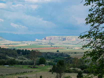 The Fat Mulberry Guest Farm Fouriesburg Free State South Africa Lowland, Nature