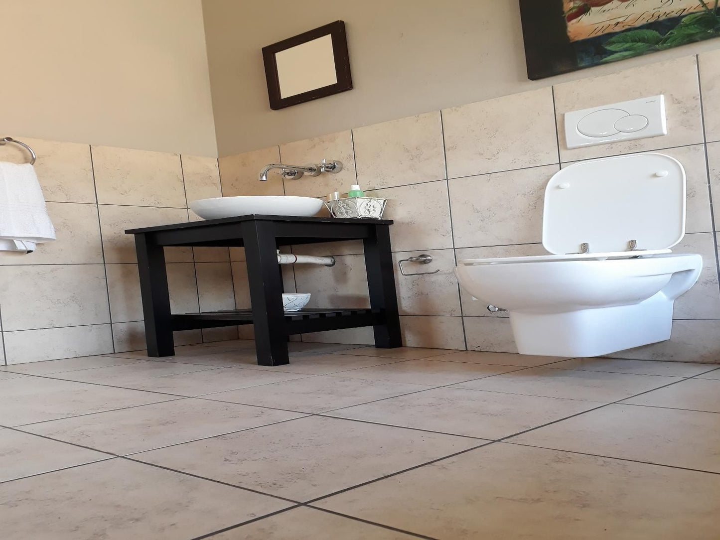 Fatmols Lodges Pty Ltd Westdene Johannesburg Gauteng South Africa Bathroom