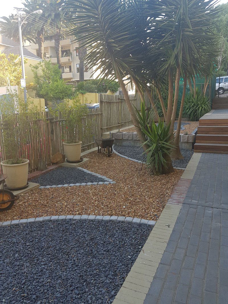 Fawlty Towers Afari Lodge Green Point Cape Town Western Cape South Africa Palm Tree, Plant, Nature, Wood, Garden