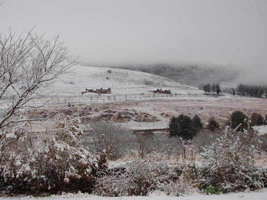 Feathers Cottage Dullstroom Mpumalanga South Africa Unsaturated, Barn, Building, Architecture, Agriculture, Wood, Nature, Winter Landscape, Snow, Winter