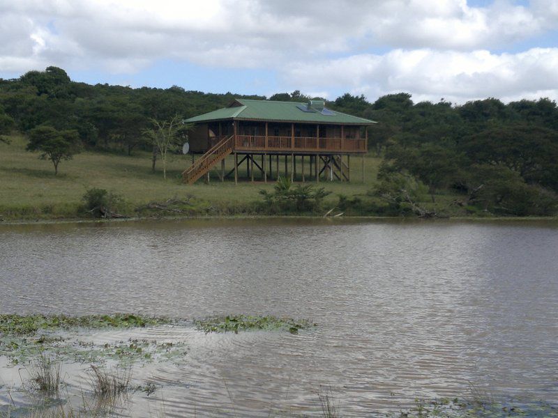 Ferndale Bush Lodge Kei Road Eastern Cape South Africa River, Nature, Waters, Highland