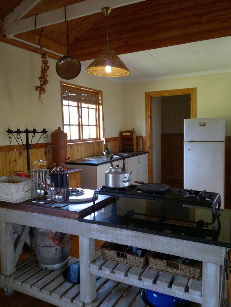 Ferndale Bush Lodge Kei Road Eastern Cape South Africa Kitchen