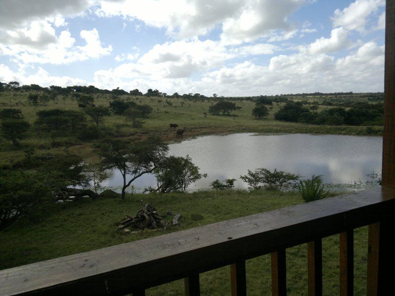 Ferndale Bush Lodge Kei Road Eastern Cape South Africa Lake, Nature, Waters, River