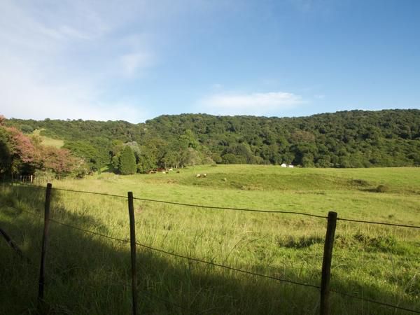 Ferndene Farm Dargle Howick Kwazulu Natal South Africa Complementary Colors, Field, Nature, Agriculture, Forest, Plant, Tree, Wood, Meadow, Highland, Lowland