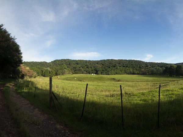 Ferndene Farm Dargle Howick Kwazulu Natal South Africa Complementary Colors, Forest, Nature, Plant, Tree, Wood, Meadow, Highland