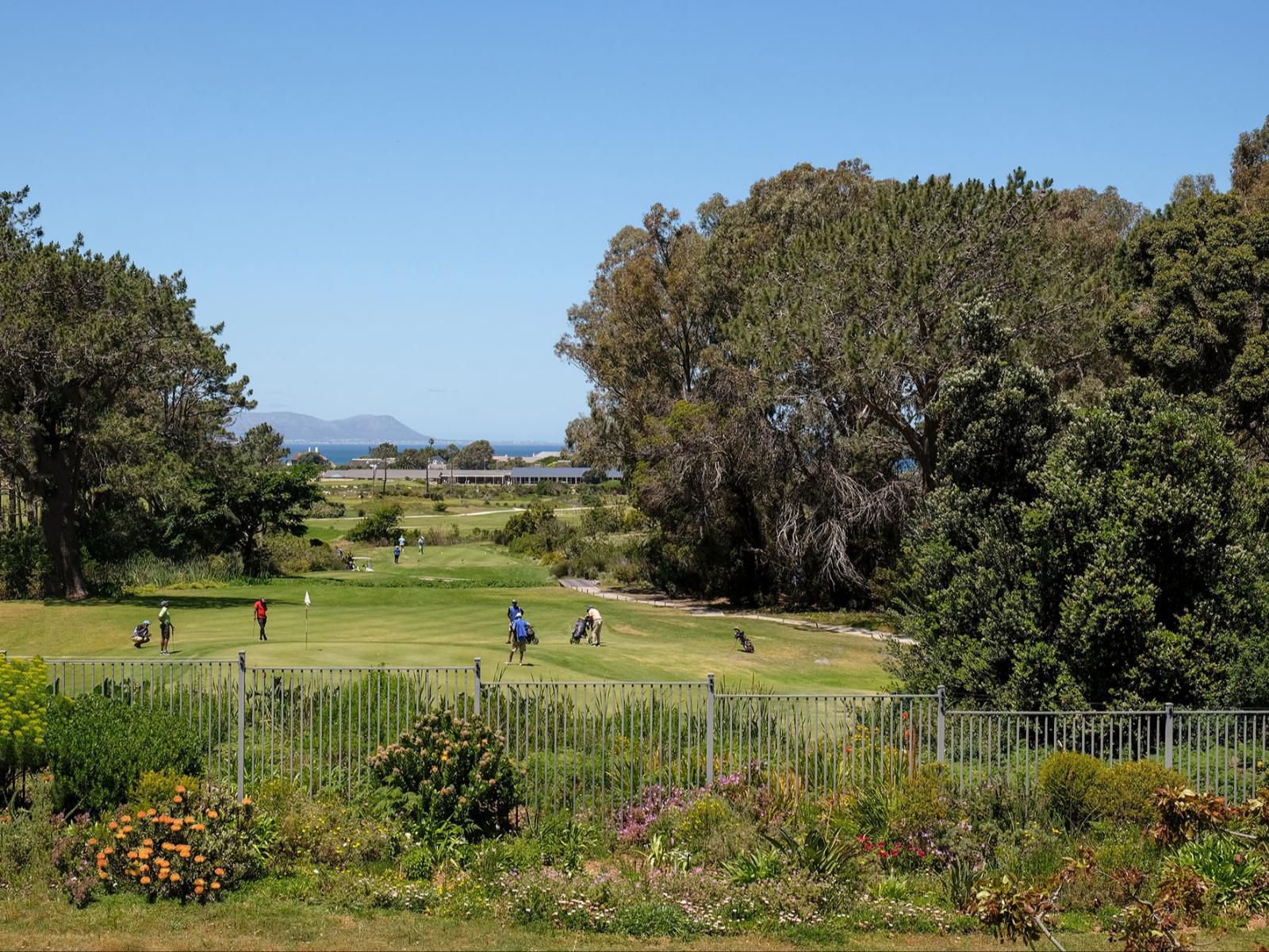 Fernkloof Lodge Fernkloof Hermanus Western Cape South Africa Complementary Colors, Ball Game, Sport, Golfing