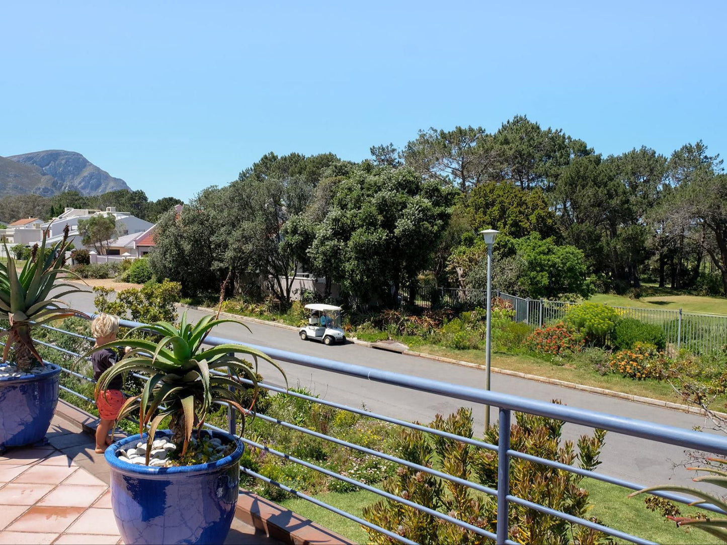 Fernkloof Lodge Fernkloof Hermanus Western Cape South Africa Complementary Colors, Palm Tree, Plant, Nature, Wood