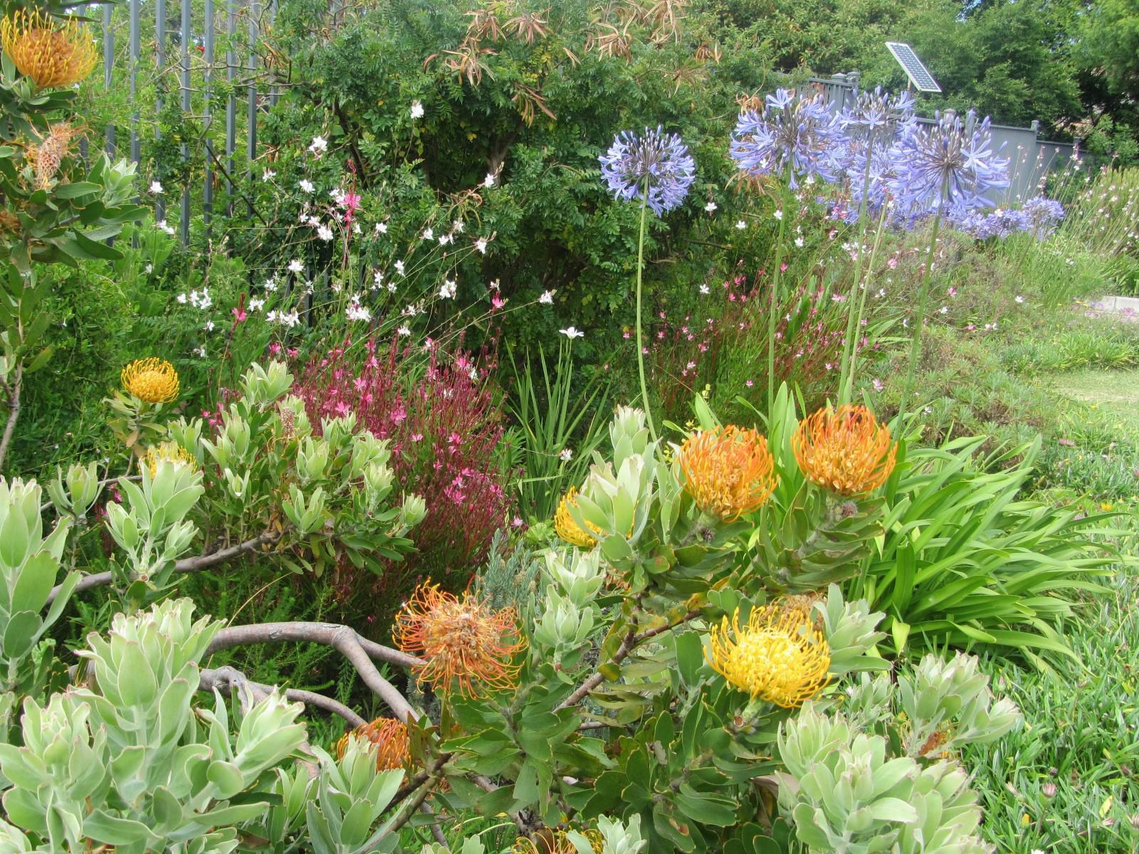 Fernkloof Lodge Fernkloof Hermanus Western Cape South Africa Plant, Nature, Garden